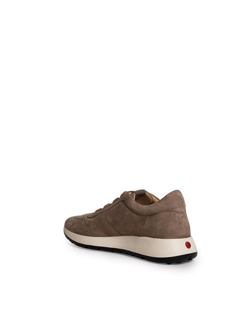 Sneakers Red Dot in Pelle Scamosciata Pashmy TOD'S | XXM79K0IP51 J17553J